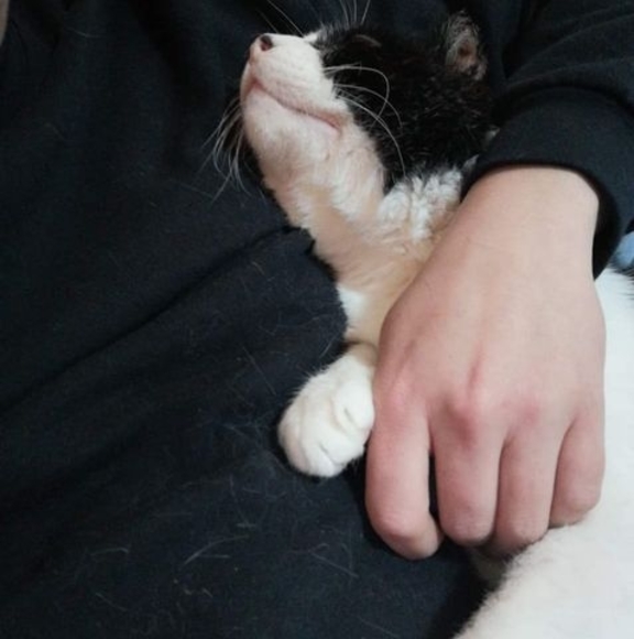 Meet your Posher, Jl - Picture 1 of 1